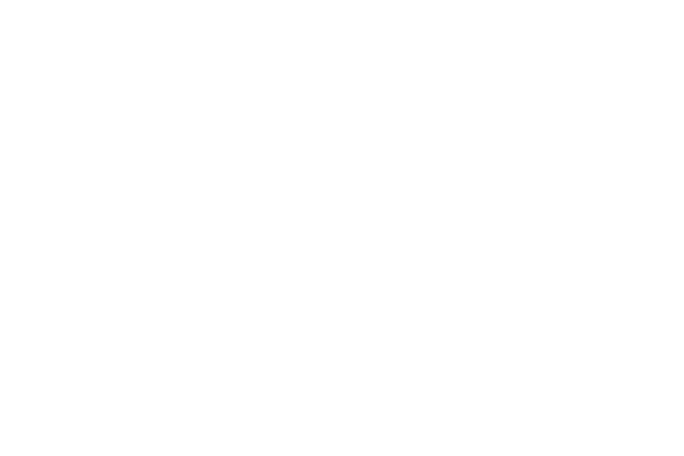 crt_demi_logo